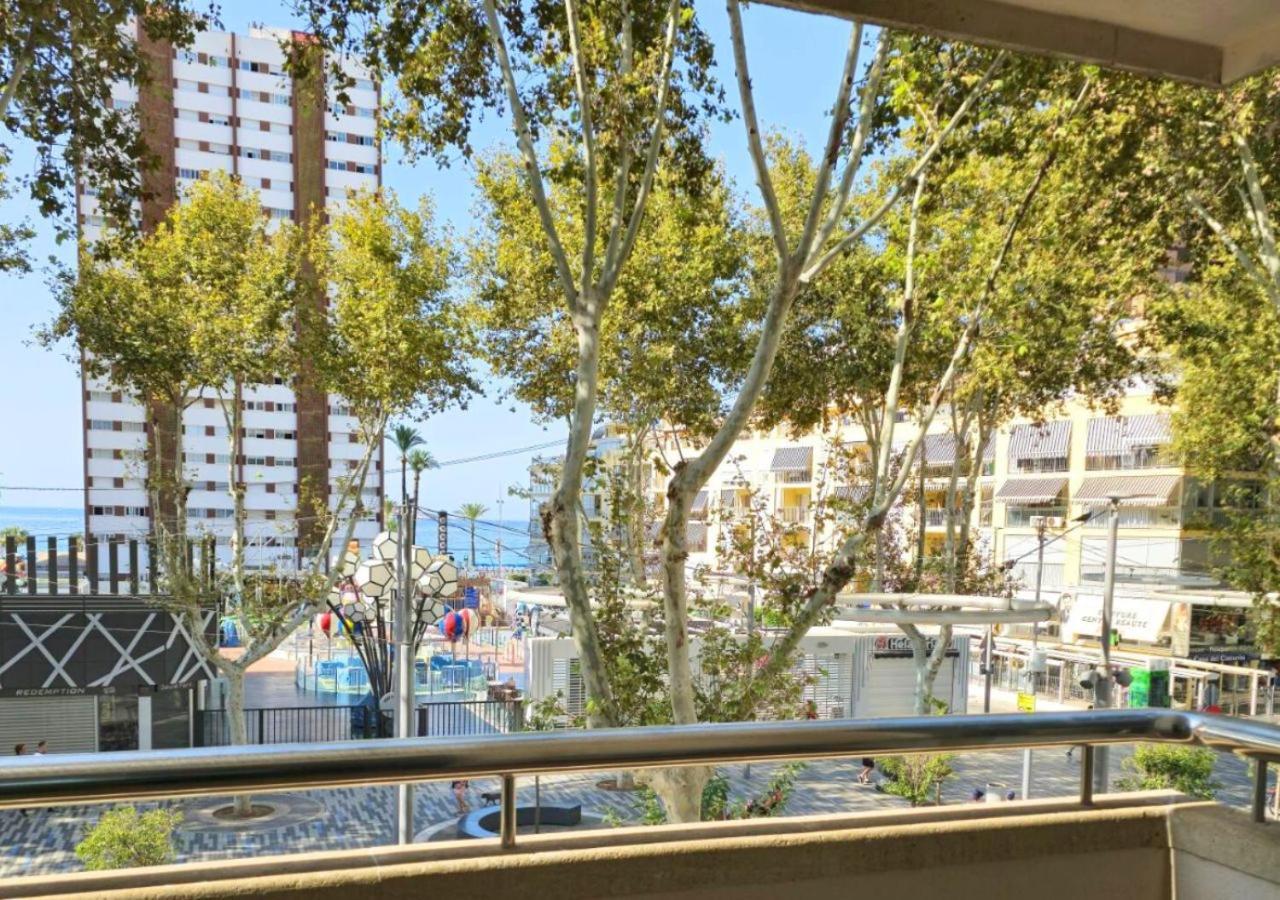 Junior Suite Avenue View